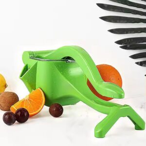 Manual Fruit Hand Press Citrus Extractor - Image 4