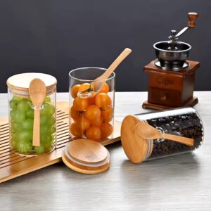 Top Selling 3pcs 500ml eco-friendly kitchen glass food storage jar with spoon set - Image 5