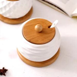 Wholesale luxury mini seasoning condiment porcelain ceramic container set spice jars with glass bamboo wood lid - Image 5