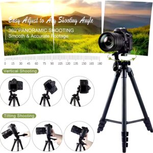 2Pack Lapel Mic 53'' Tripod Stand LED Video Light Wireless Microphone Phone Vlogging Kit For Tiktok Facebook YouTube Vlog Making - Image 6