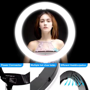 22inch LED Selfie RingLight Photographic Desk Ring Light Rgb Fill Light Lamp With Tripod Phone Holder - Image 4