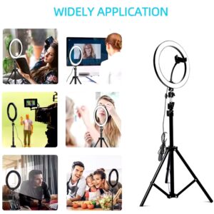 12 inch photographic lighting Kit with Tripod Stand Selfie Stick ,Phone Holder for Phone Selfie Video Makeup Youtube Photography - Image 5