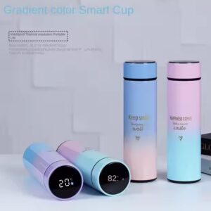 Double Wall With Led Temperature Display Cup Vaccum Flask Stainless Steel Smart Water Bottle Thermos - Image 3
