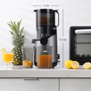 Hot Sale 2024 High Yield Cold Press Juice Extractor Reverse Function Easy to Clean High Quality Powerful Juicer Machine - Image 7