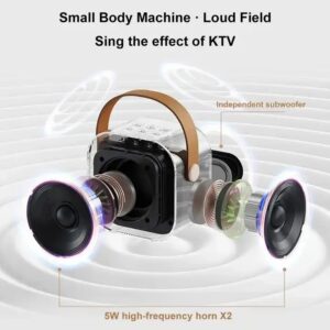 Wholesale Music Portable TWS Small Karaoke Machine Player for Kids Bluetooth Karaoke Speaker With Wireless Microphone - Image 4