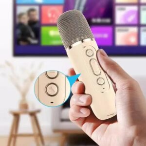 Wholesale Music Portable TWS Small Karaoke Machine Player for Kids Bluetooth Karaoke Speaker With Wireless Microphone - Image 3