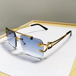 DL GLASSES 2023 Luxury Cut Edge Rimless Metal sunglasses Women Men Square Double Bridge Gradient Pilot Glasses - Image 4