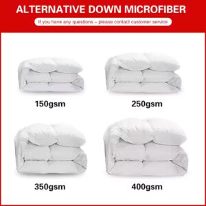 Comforter sets bedding winter white velvet duvet bed quilts blanket luxury hotel high quality - Image 6