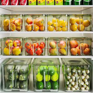 Transparent Kitchen Pet Food Storage Box Bins Stackable Refrigerator Organizer Fridge Organizer Set With Handle - Image 4