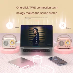 Retro Mini Bluetooth Speaker DW21 Classical Music Player Sound Stereo Subwoofer Portable Decoration Speakers Home Music Player - Image 5