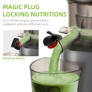 BioloMix Cold Press Juicer with 75mm Feed Chute, 200W 40-65RPM Powerful Motor Slow Masticating Juice Extractor Fits Whole Fruits - Image 3
