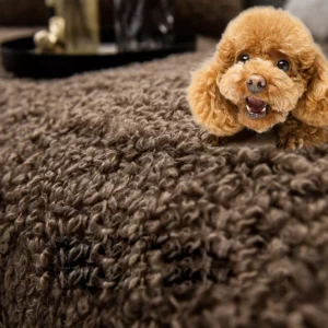 Nordic Teddy Plush Sofa Cushion Winter Warm Sofa Cover Towel For Living Roon Decoration Carpet Blanket Non-slip Couch Cover - Image 2