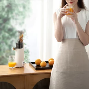 Slow Electric Juicer Household Full-automatic Orange Celery Juicer Multifunctional Residue Juice Separation Fruit Juicer 220V - Image 6