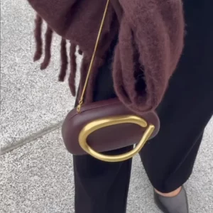 Gold metal Closure Box Clutch Bag women evening wedding party cute purse bag handbag dark red beige 2024 winter new - Image 3