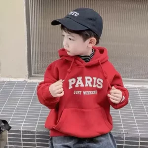 Fleece Thickened 2023 Autumn Winter New Kids Boys Girls Hooded Sweatshirt Children's Sweatshirt Baby Clothing - Image 6