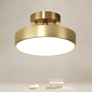 LED Ceiling Light Modern Rotatable Lamp For Corridor Bedroom Living Room Restaurant Indoor Home Decor Round Illumination Fixture - Image 2