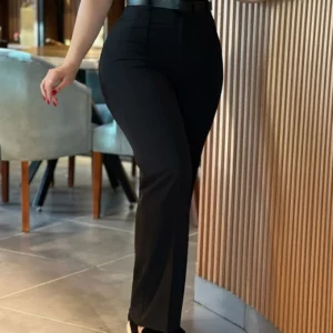 Women's Pants Autumn Fashion New Pants High Waist Straight Leg Work Pants Temperament Commuting Slim Fit Elegant Pants - Image 2