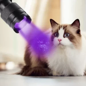 UV Flashlight LED Ultraviolet Torch Zoomable Mini Ultra Violet Lights 395/365nm Inspection Lamp Pet Urine Stain Detector Tools - Image 2