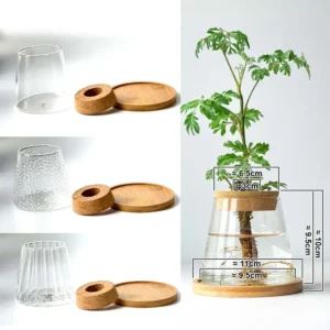 2/1 Pcs Hydroponic Plants Glass Flower Pots Home Decoration Transparent Small Vase Plant Pots With Base Tray Garden Accessories - Image 5