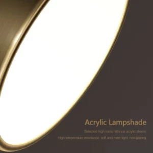LED Ceiling Light Modern Rotatable Lamp For Corridor Bedroom Living Room Restaurant Indoor Home Decor Round Illumination Fixture - Image 6