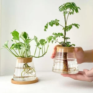 2/1 Pcs Hydroponic Plants Glass Flower Pots Home Decoration Transparent Small Vase Plant Pots With Base Tray Garden Accessories - Image 3