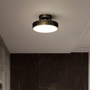 LED Ceiling Light Modern Rotatable Lamp For Corridor Bedroom Living Room Restaurant Indoor Home Decor Round Illumination Fixture - Image 4