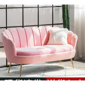 Sofa living room small apartment Nordic simple modern light luxury net red bedroom clothing store double simple lazy sofa - Image 2