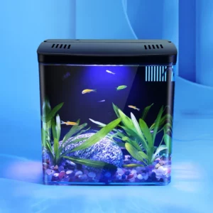 Fish Tank Living Room Small Mini Douyu Tank Household Tabletop Ecological Tank Self Circulating Back Filter Goldfish Tank - Image 3