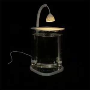 Mini Desktop Glass Aquarium Fish Tank with LED Light For Kids Betta Fish - Image 3