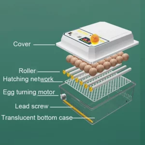16 Eggs Fully Automatic Incubator Brooder Hatchery Incubator Turner Household Farm Hatcher Machine Goose Quail Chicken Eggs - Image 3