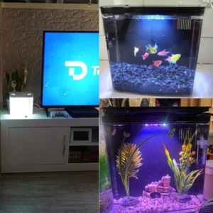 Fish Tank Living Room Small Mini Douyu Tank Household Tabletop Ecological Tank Self Circulating Back Filter Goldfish Tank - Image 6