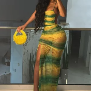 Weird Puss Gradient Backless Dress Women Halter See Through Ruched Summer Trend Split Long Bodycon Coquette Bandage Vestidos - Image 1