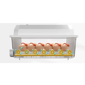 16 Eggs Fully Automatic Incubator Brooder Hatchery Incubator Turner Household Farm Hatcher Machine Goose Quail Chicken Eggs - Image 4