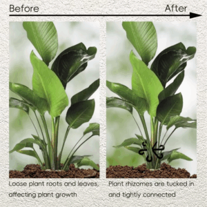 4PCS Reusable Plant Stem Folding Frame Garden Tools No Stake Trellis Plant Stem Support Support Branches Stem Organizer - Image 2