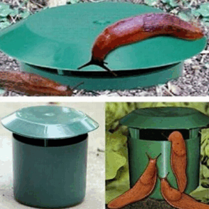 Plastic Snail Catcher Snail Cage Insect Trapper Snail House Garden Vegetable Supplies Snail Box Destroyer Snail Trap Catcher - Image 7