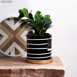 Household Countertop Flowerpot Plant Cactus Potted Modern Abstract Black and White Striped Ceramic Flowerpot Gardening Decor New - Image 4