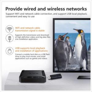 Android 10 X96Q TV Box 2GB 16GB Allwinner H313 Quad Core 4K Smart TV BOX Wifi X96 1GB 8GBSet Top Box - Image 4