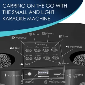 20W Powerful Wireless Portable Dual Microphone Bluetooth Sound Outdoor Family Party Karaoke Subwoofer Boom Box with 2 Microphone - Image 4