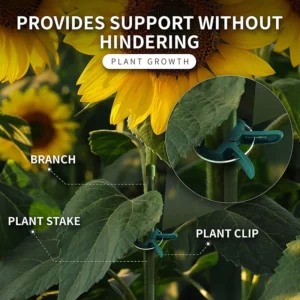 Plant Fixed Clips Reusable Garden Greenhouse Bracket for Fixed Plants Vine Flower Seedling Tomatoes Support Garden Supplies - Image 5