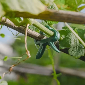 Plant Fixed Clips Reusable Garden Greenhouse Bracket for Fixed Plants Vine Flower Seedling Tomatoes Support Garden Supplies - Image 3