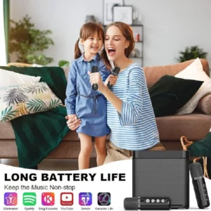 20W Powerful Wireless Portable Dual Microphone Bluetooth Sound Outdoor Family Party Karaoke Subwoofer Boom Box with 2 Microphone - Image 6