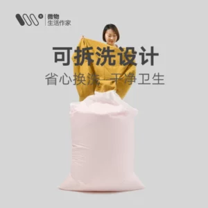 Lazy Sofa Pumpkin Chair Tatami Internet Celebrity Single Balcony Small Recliner Bedroom Living Room Leisure Bean Bag - Image 5