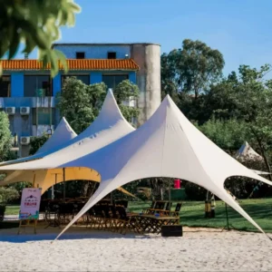 Single Double Pole Star Canopy Tents Octopus Canopy Thicken 900D Oxford Cloth Shape Stretch Canopy Outdoor Peaks Starshade Tents - Image 2