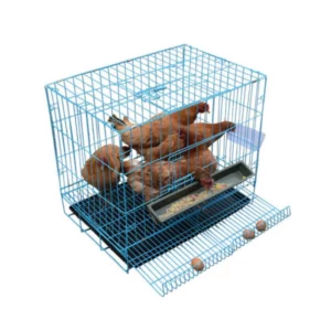 70X51X61cm HEN metal mesh egg hen chicken house cage animals box for Farm Poultry Automatic pick up - Image 4