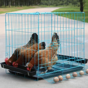 70X51X61cm HEN metal mesh egg hen chicken house cage animals box for Farm Poultry Automatic pick up - Image 2