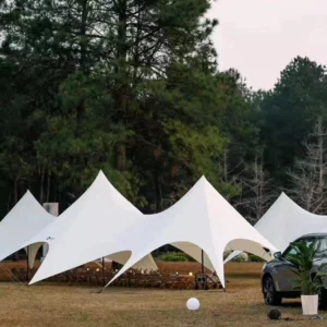 Single Double Pole Star Canopy Tents Octopus Canopy Thicken 900D Oxford Cloth Shape Stretch Canopy Outdoor Peaks Starshade Tents - Image 4