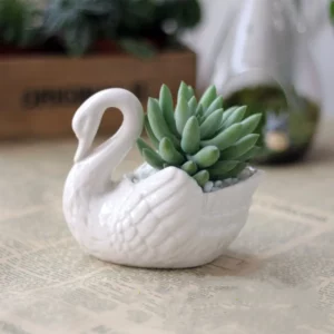 White Ceramic Flower Pot Swan Succulent Plant Pot Candlestick Jewelry Storage Tray Flowerpot White Porcelain Vase Decoration - Image 3