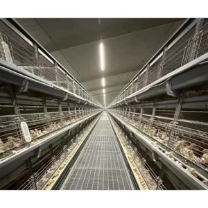 Industrial Poultry Equipment Chicken Farming H Type Layer Pullet Cages Baby Chicken Cages for 10000 Chickens Farming - Image 3