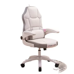 Learning Chair Junior High School Student Homework Chair Elementary School Student Home Desk Writing Chair - Image 4