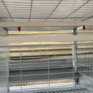 Industrial Poultry Equipment Chicken Farming H Type Layer Pullet Cages Baby Chicken Cages for 10000 Chickens Farming - Image 5